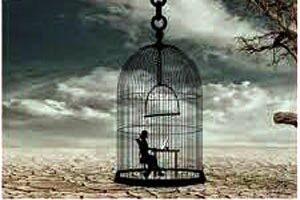 ho mubaraq tumhe tumhari udaan pinjre me