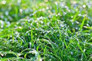 talab ki raahon me saare alam naye naye se