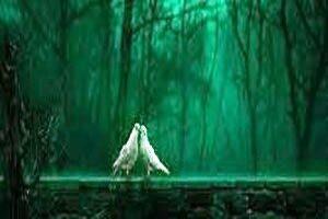 dushman meri khushiyo ka zamana hi nahi tha