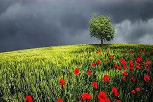 kaanto ke chubhan pe follo ka maza bhi