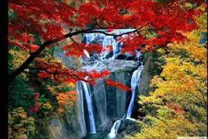 kabhi bahar ka mausam naya dikhai de