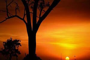 kabhi kisi ko muqammal jahan nahi milta