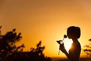 zindagi se ek din mausam khafa ho jayenge