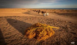 hai safar me kaarwaan