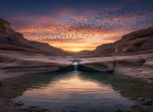 fir goya hui shaam parindon ki zabani