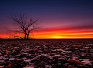 ujad ujad ke sanvarti hai tere hizr kee shaam